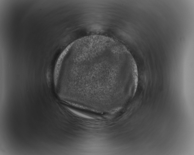 X0000088430708200706191234