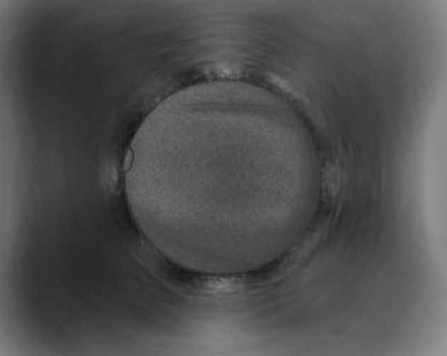 X0000088430709200706191234