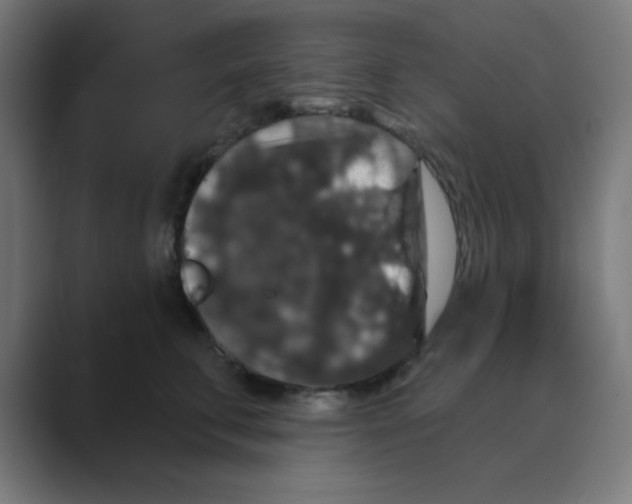 X0000088430711200706191234