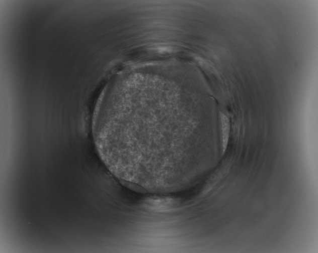 X0000088430712200706191234