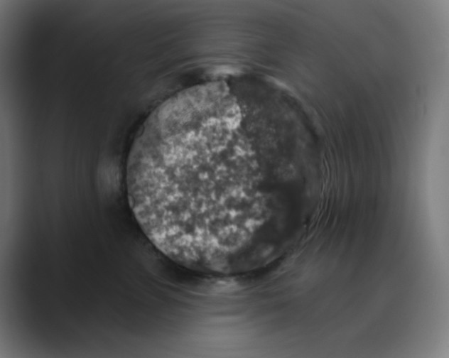 X0000088430715200706191234