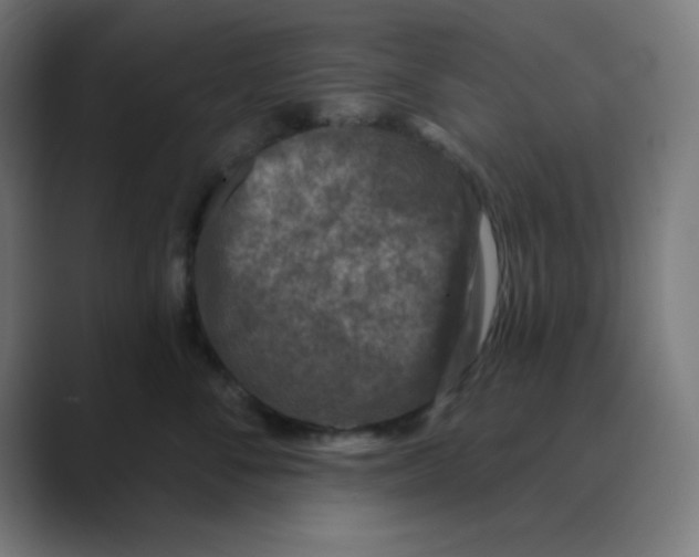 X0000088430716200706191234