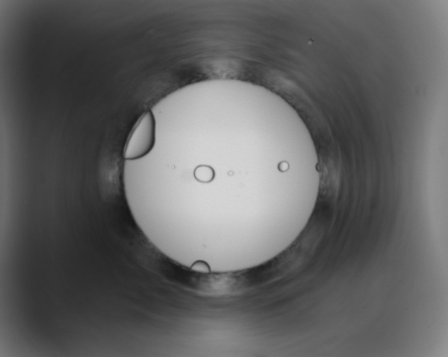 X0000088430717200706191234