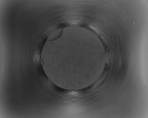 X0000088430718200706191234