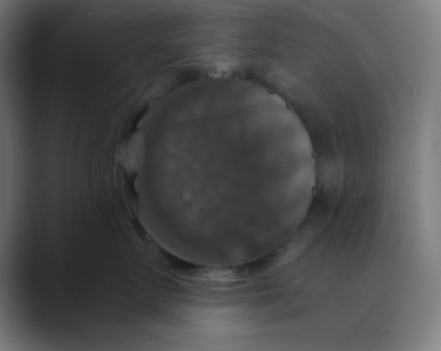 X0000088430719200706191234