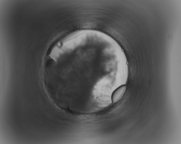 X0000088430721200706191233