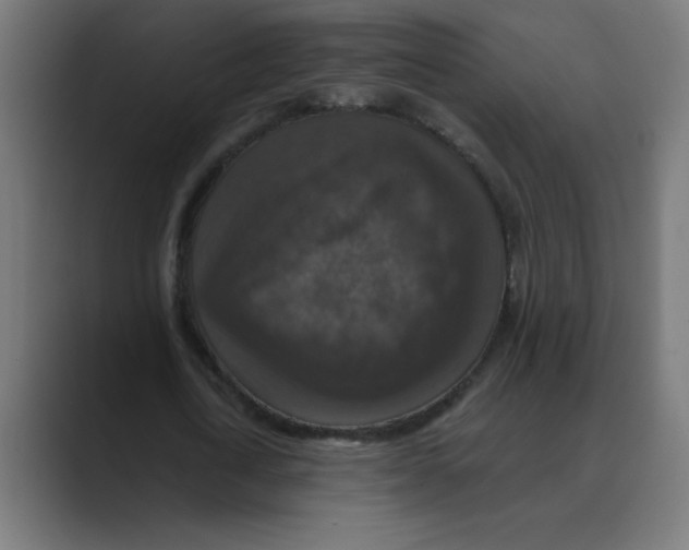 X0000088430722200706191233