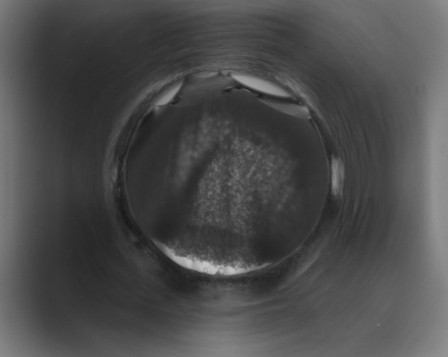 X0000088430723200706191233