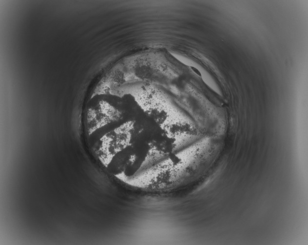 X0000088430725200706191233