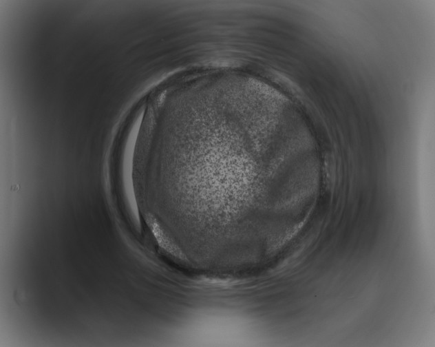 X0000088430726200706191233
