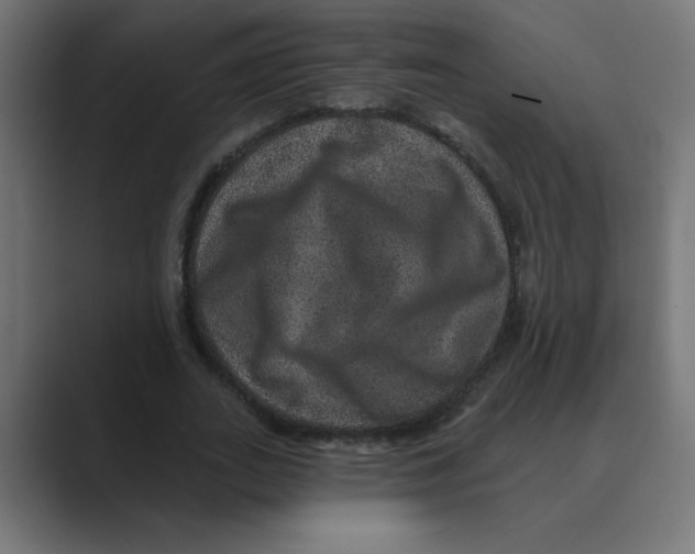 X0000088430727200706191233