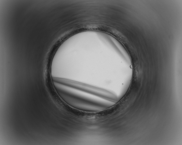 X0000088430728200706191233
