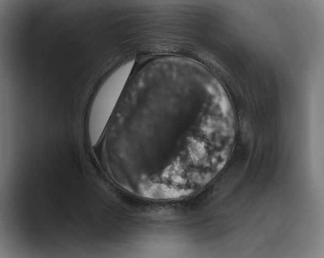 X0000088430729200706191233