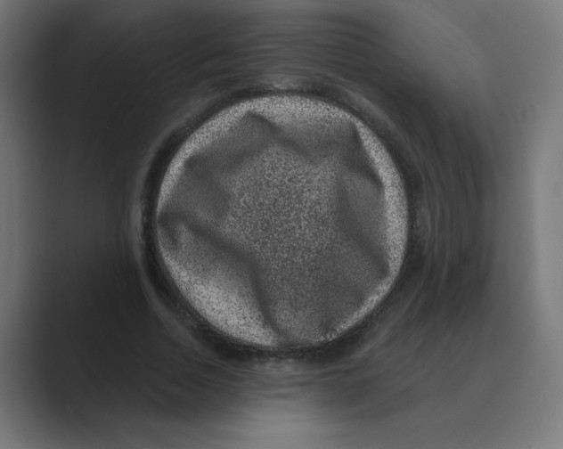 X0000088430730200706191233