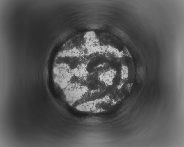X0000088430734200706191233