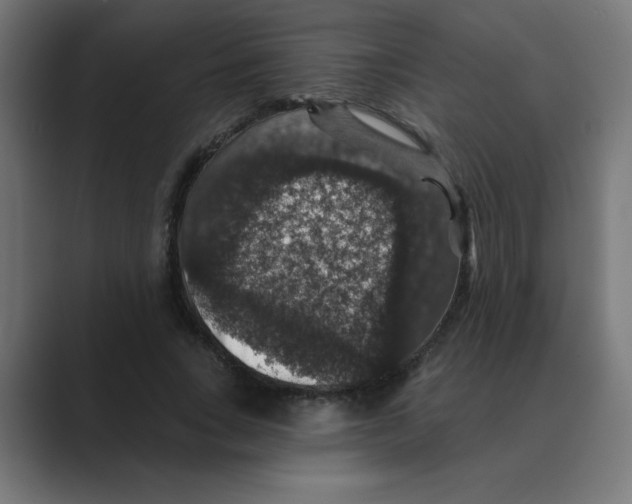 X0000088430735200706191233