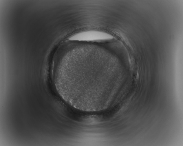 X0000088430736200706191233