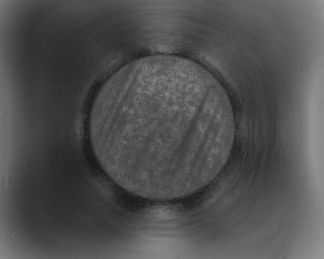 X0000088430738200706191233