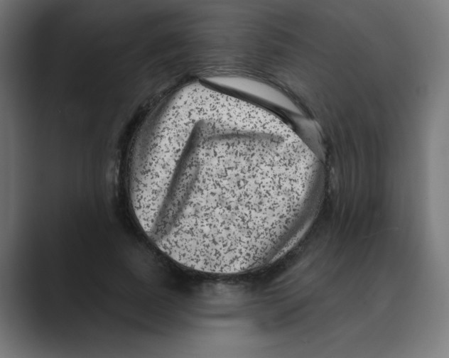 X0000088430739200706191233