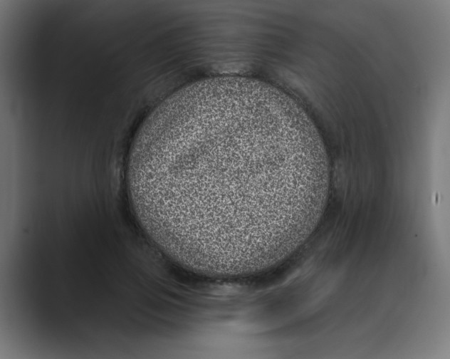 X0000088430741200706191233