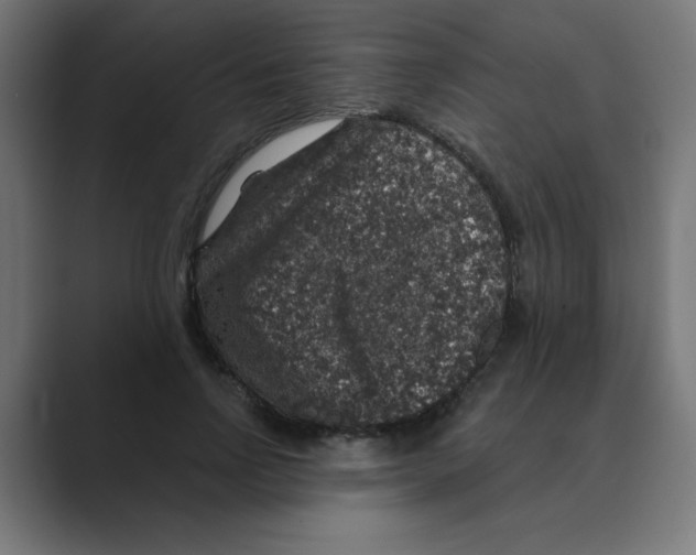 X0000088430742200706191233