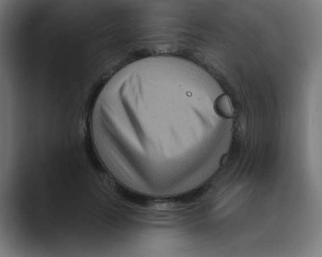 X0000088430746200706191234