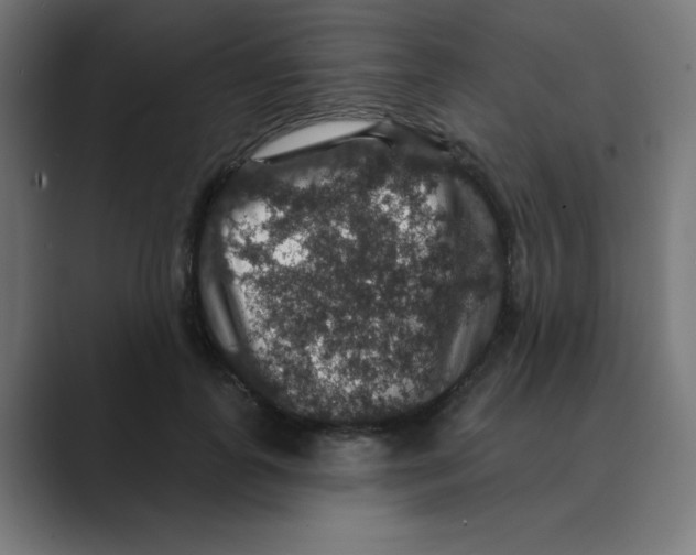 X0000088430747200706191234