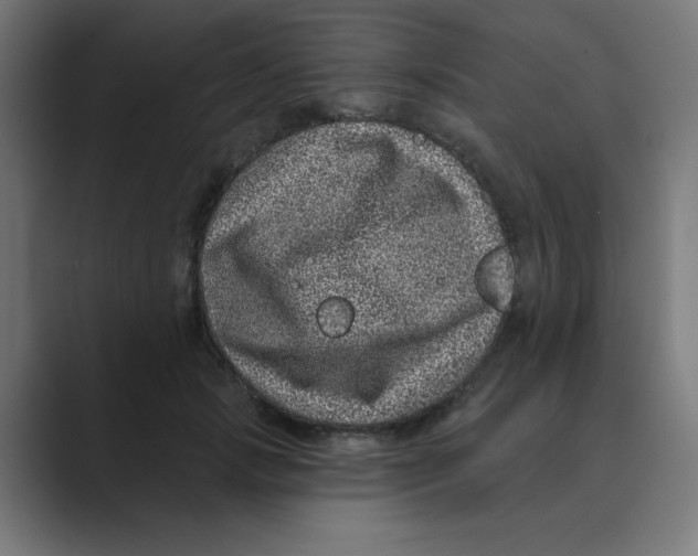 X0000088430749200706191234