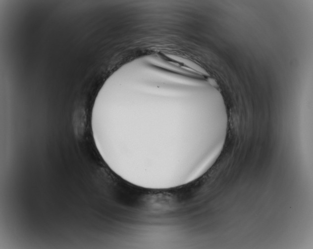 X0000088430752200706191234