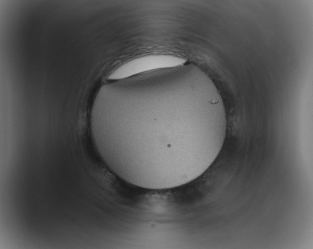 X0000088430756200706191234