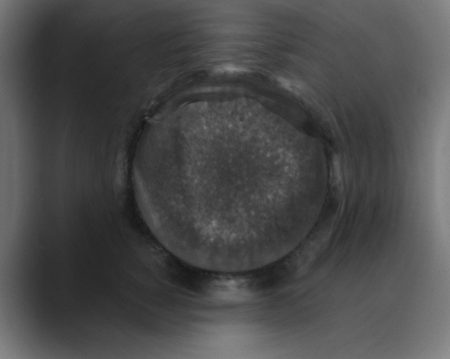 X0000088430760200706191234