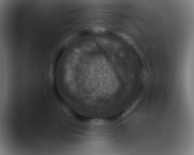 X0000088430762200706191234