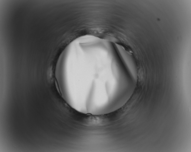 X0000088430764200706191234