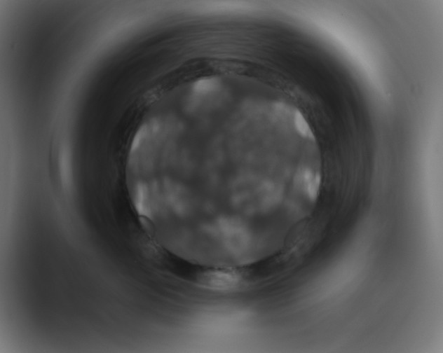 X0000088430765200706191234