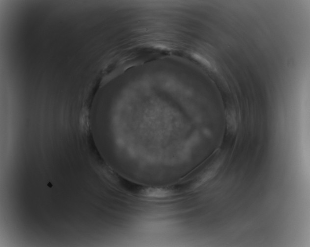 X0000088430766200706191234