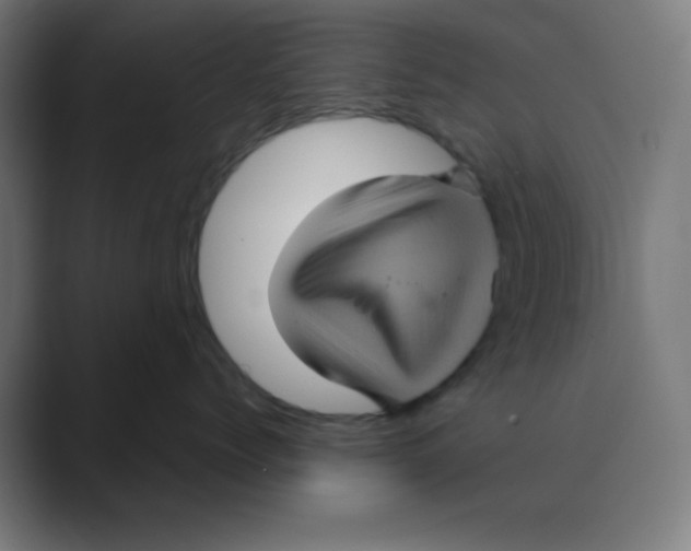 X0000088430768200706191234