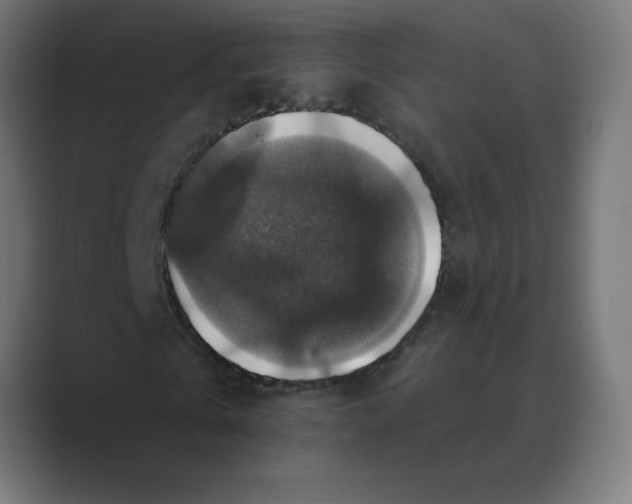 X0000088430769200706191233