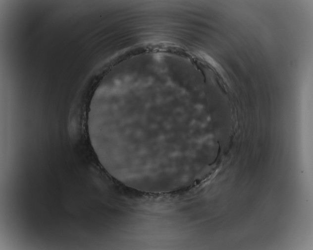 X0000088430775200706191233