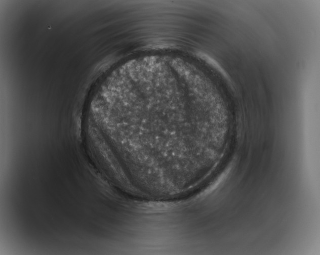 X0000088430777200706191233