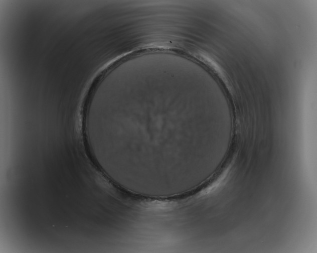 X0000088430779200706191233