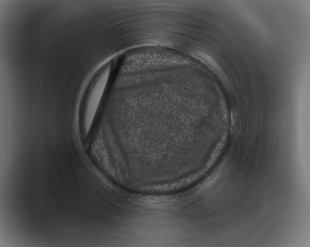 X0000088430780200706191233