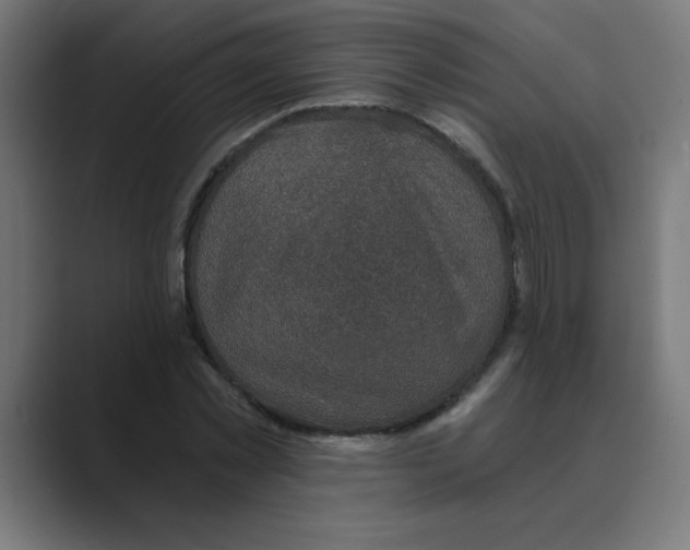 X0000088430781200706191233