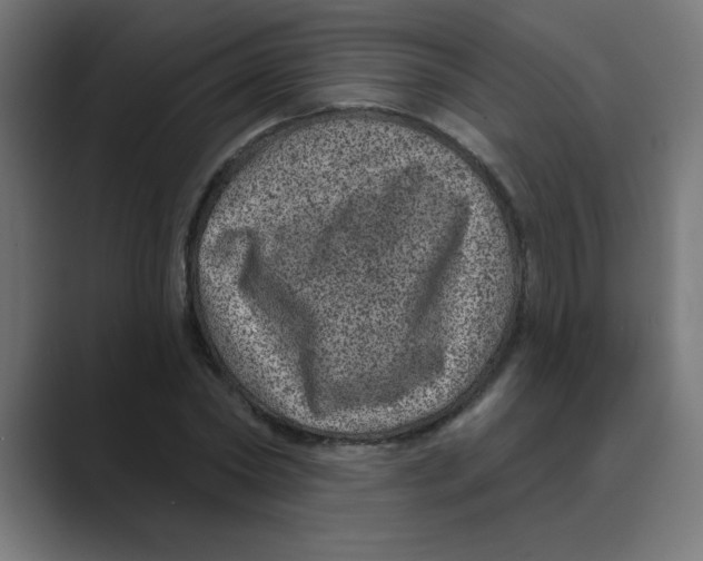 X0000088430782200706191233