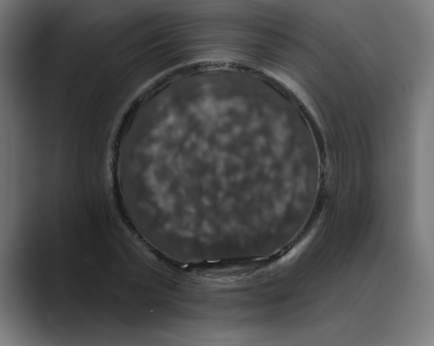 X0000088430783200706191233