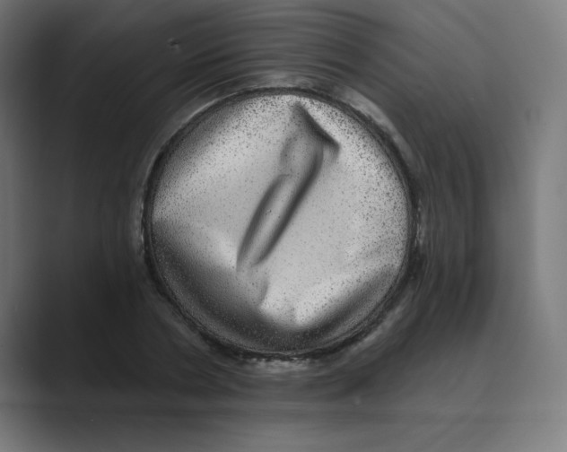 X0000088430786200706191233