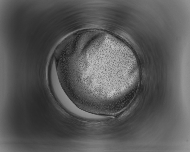 X0000088430788200706191233