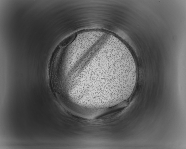 X0000088430789200706191233