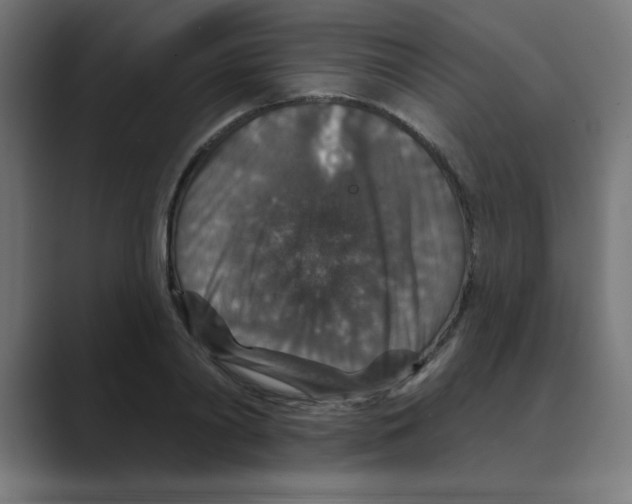 X0000088430790200706191233