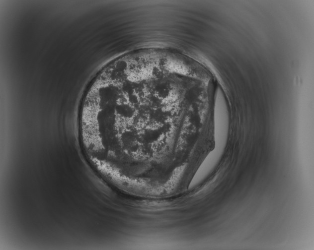 X0000088430795200706191233