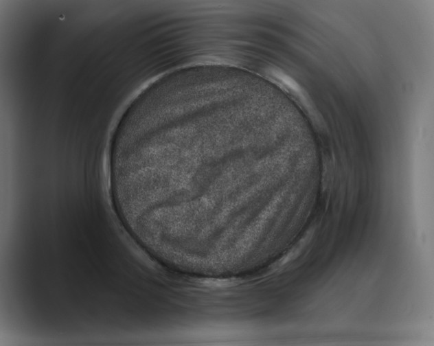 X0000088430796200706191233